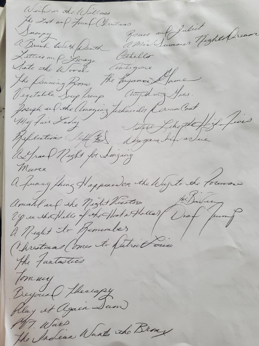 Handwritten list on white paper showcasing perfect handwriting examples in elegant cursive style.