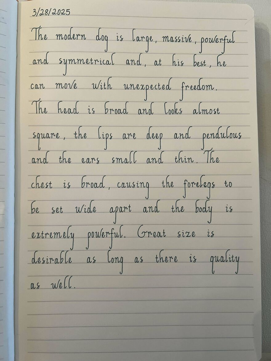 Handwriting example dated 3/28/2025, showing clear, neat, and perfect handwriting on lined notebook paper.