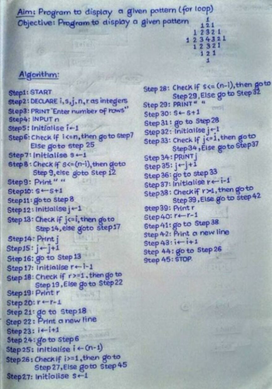 Handwritten programming algorithm steps in perfect handwriting, demonstrating clear and precise writing examples.