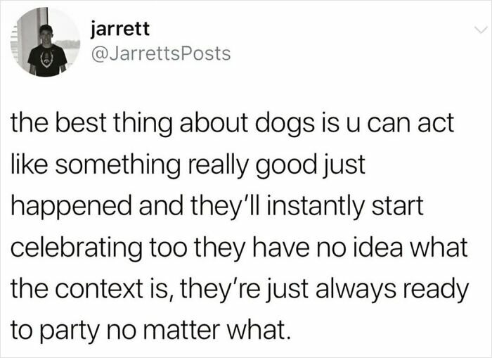 Tweet about dogs being delightful animals that always celebrate and are ready to party no matter what.