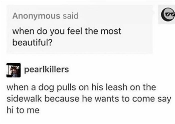 Text meme about delightful animals describing feeling beautiful when a dog pulls on his leash to say hi.