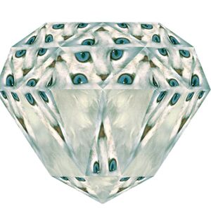 stroll-toffees-0j avatar