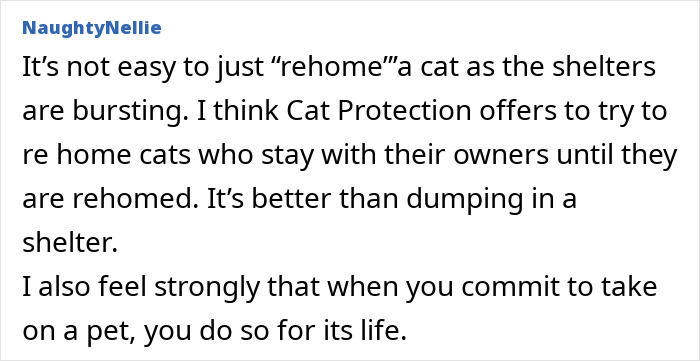 Comment discussing the challenges of refusing to let rehome cat and the importance of responsible pet commitment. Comment discussing the challenges of refusing to let rehome cat and the importance of responsible pet commitment.