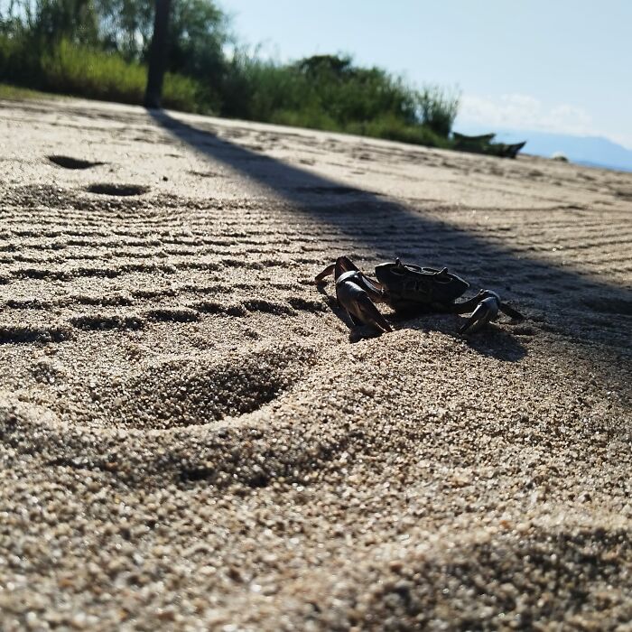 Local On A Beach On Lake Malawi