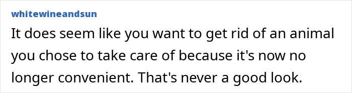 Commenter expressing concern about refusing to let someone rehome a cat, emphasizing responsibility for pets. Commenter expressing concern about refusing to let someone rehome a cat, emphasizing responsibility for pets.