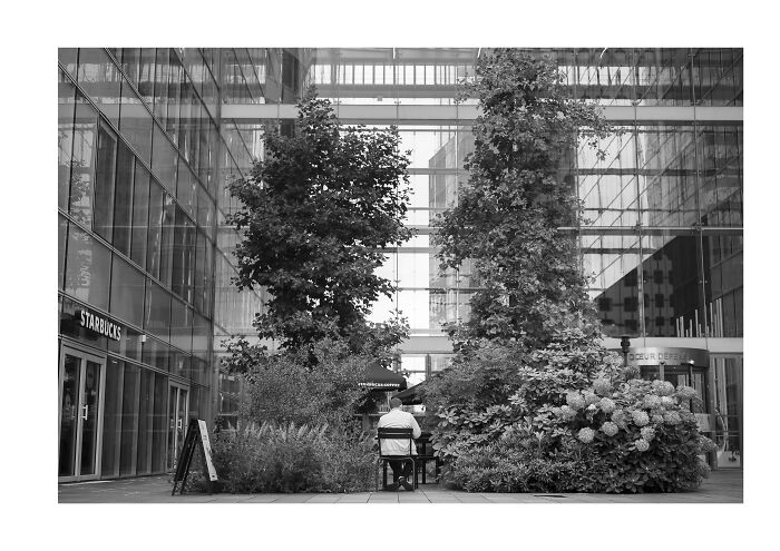 Man sitting alone at a table in a peaceful urban courtyard captured in a cinematic photo by Adriana Ferrarese.