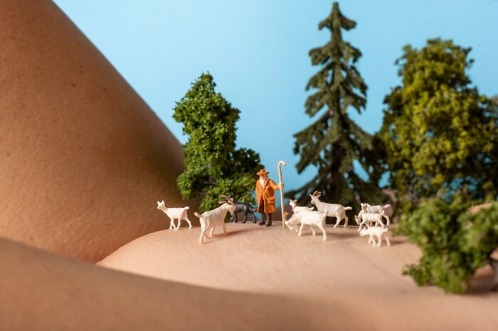 Shepard Of The Venus