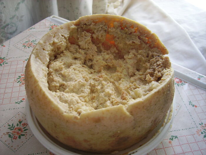 A large round of casu marzu cheese with a crumbly texture, an example of surprising foods banned in the USA.