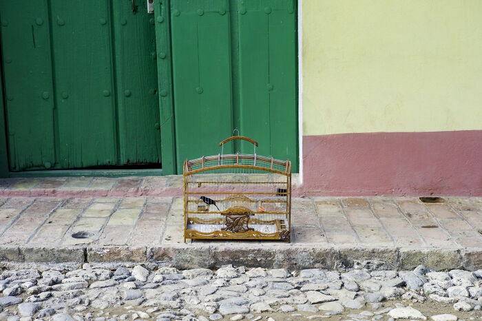 Cinematic photo of a bird in an ornate wooden cage on cobblestone street against colorful wall and door.