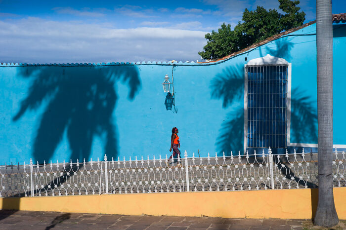 Person walking along a blue wall with palm tree shadows, showcasing cinematic photos capturing everyday life moments.