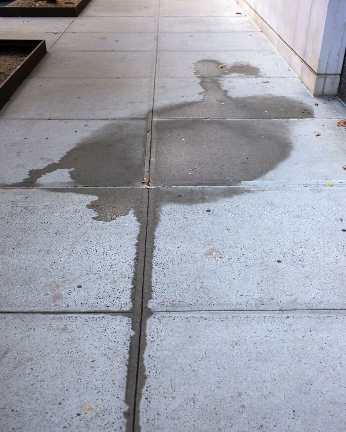 Wet pavement stain resembling a bird captured by street photographer highlighting magical city life coincidences.