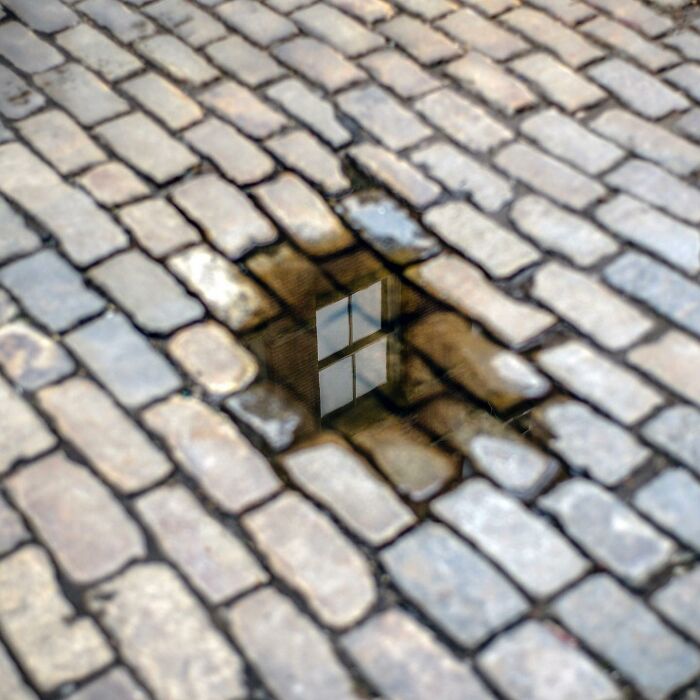 Puddle on cobblestone street reflecting a window, showcasing magical city life through street photographer's eye.