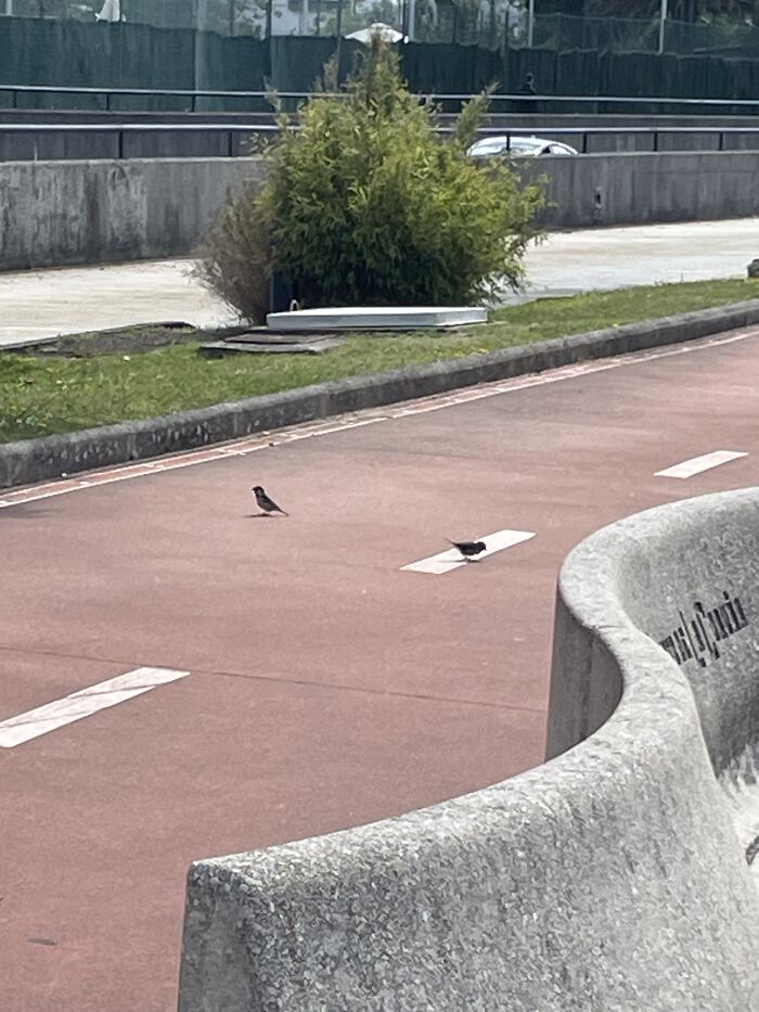 22 Photos Of Liminal Spaces I Took