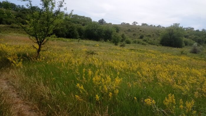 We Traveled To A Forgotten Steppe Near Dnipro, Ukraine – And Found Artistic Magic Hidden In The Wild