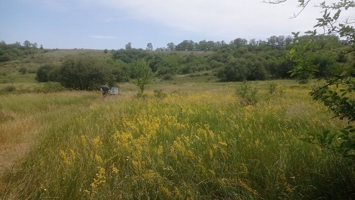 We Traveled To A Forgotten Steppe Near Dnipro, Ukraine – And Found Artistic Magic Hidden In The Wild