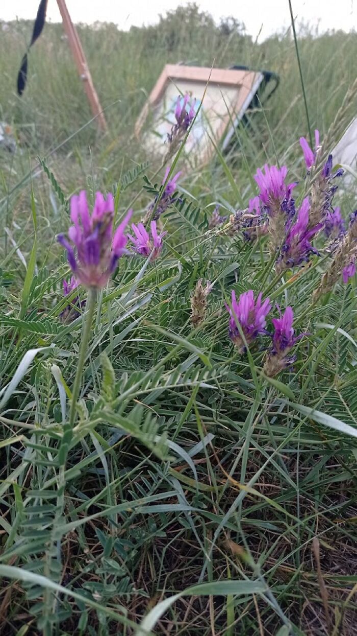 We Traveled To A Forgotten Steppe Near Dnipro, Ukraine – And Found Artistic Magic Hidden In The Wild