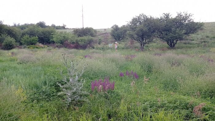 We Traveled To A Forgotten Steppe Near Dnipro, Ukraine – And Found Artistic Magic Hidden In The Wild We Traveled To A Forgotten Steppe Near Dnipro, Ukraine – And Found Artistic Magic Hidden In The Wild