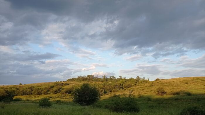 We Traveled To A Forgotten Steppe Near Dnipro, Ukraine – And Found Artistic Magic Hidden In The Wild