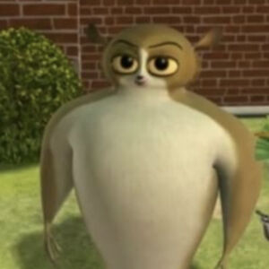 maddalenabelford avatar