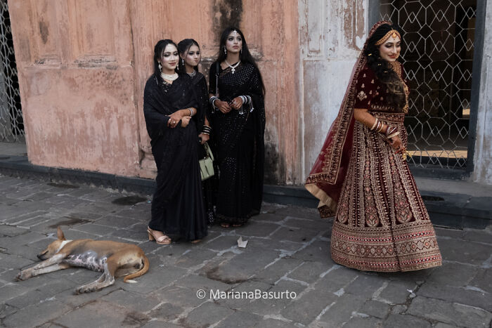 Three women in black traditional attire and one in a detailed maroon bridal dress with a dog lying nearby, captured by a photographer revealing unseen realities.
