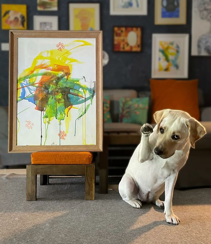 Rescue Labrador sitting next to a colorful abstract painting, showcasing unique mouth-painted art in a cozy living room. Rescue Labrador sitting next to a colorful abstract painting, showcasing unique mouth-painted art in a cozy living room.