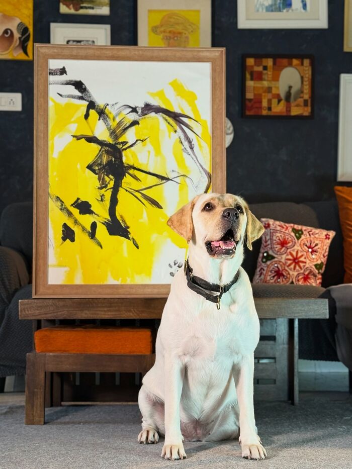 Rescue Labrador sitting in front of an abstract painting showcasing art created by dog painting with her mouth. Rescue Labrador sitting in front of an abstract painting showcasing art created by dog painting with her mouth.