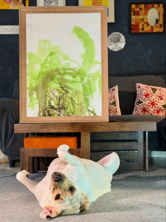 Rescue Labrador lying on floor in front of abstract green painting, showcasing art created with her mouth. Rescue Labrador lying on floor in front of abstract green painting, showcasing art created with her mouth.