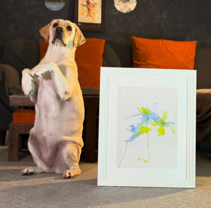 Labrador sitting next to an abstract painting, known as a rescue dog who paints with her mouth and creates art. Labrador sitting next to an abstract painting, known as a rescue dog who paints with her mouth and creates art.