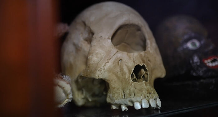 From Viral Tweets To Dusty Cabinets: How I Turned My Collection Of Oddities Into A Real Museum In Dublin From Viral Tweets To Dusty Cabinets: How I Turned My Collection Of Oddities Into A Real Museum In Dublin