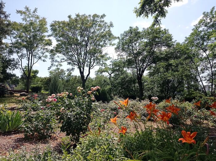 Painted Resilience: My Plein Air Landscapes From Dnipro Painted Resilience: My Plein Air Landscapes From Dnipro