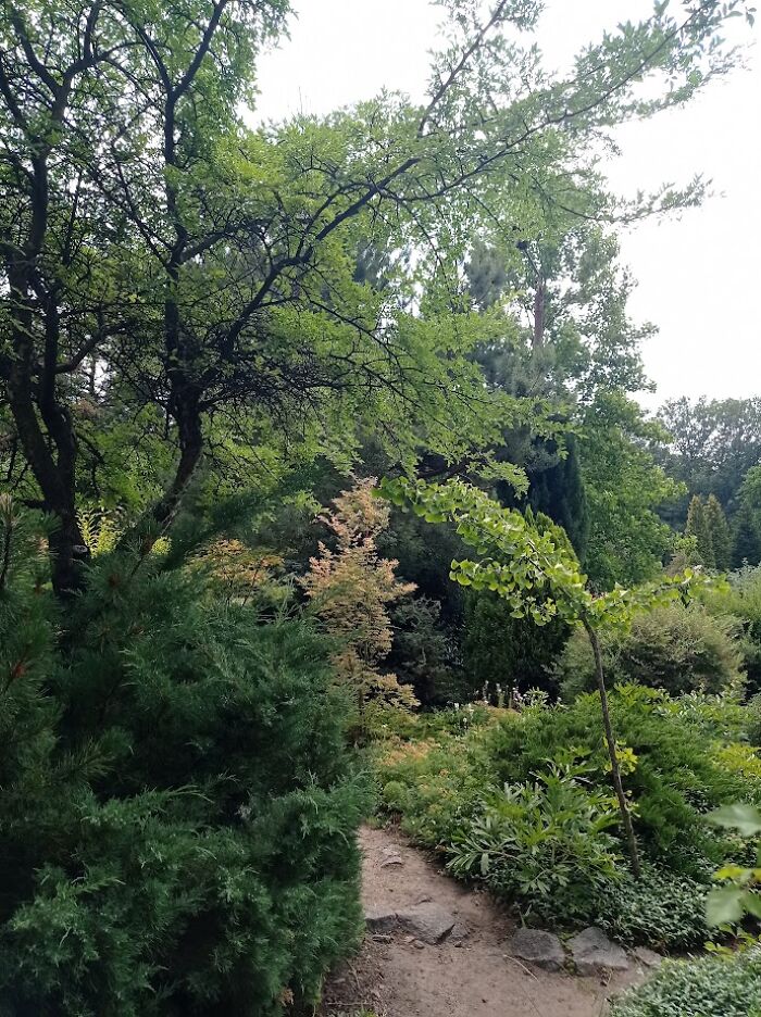 Painted Resilience: My Plein Air Landscapes From Dnipro Painted Resilience: My Plein Air Landscapes From Dnipro