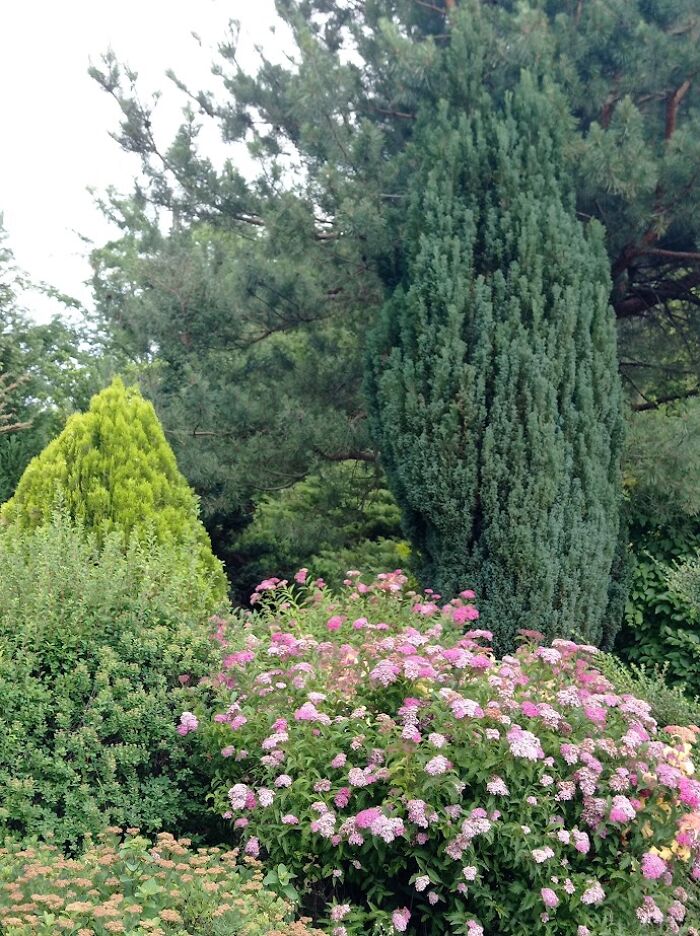 Painted Resilience: My Plein Air Landscapes From Dnipro Painted Resilience: My Plein Air Landscapes From Dnipro