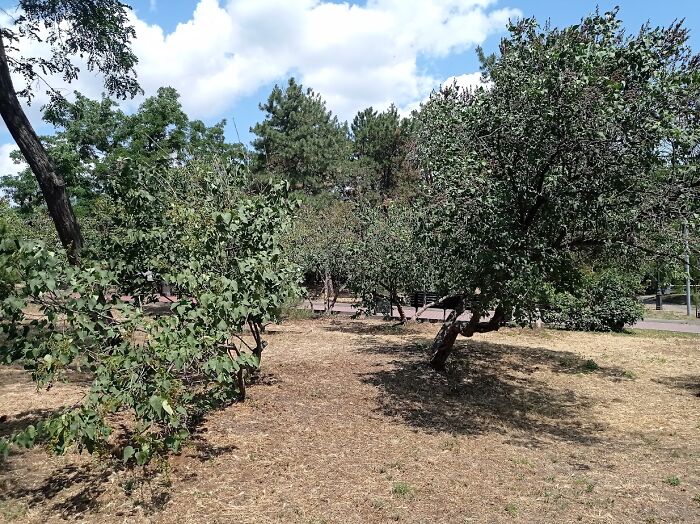 Painted Resilience: My Plein Air Landscapes From Dnipro Painted Resilience: My Plein Air Landscapes From Dnipro