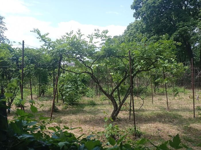 Painted Resilience: My Plein Air Landscapes From Dnipro Painted Resilience: My Plein Air Landscapes From Dnipro