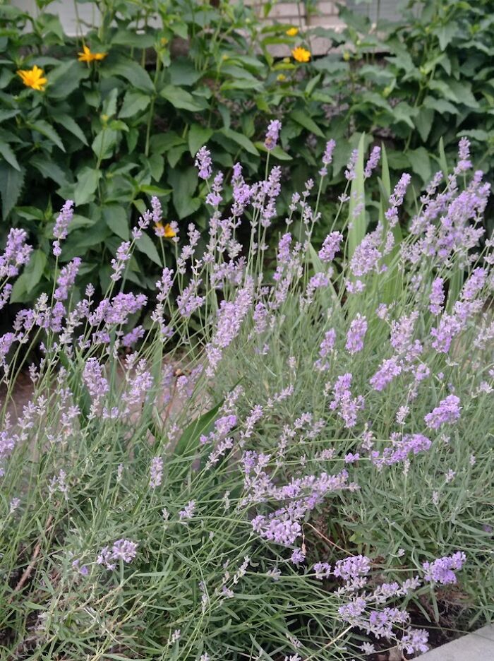 Painted Resilience: My Plein Air Landscapes From Dnipro Painted Resilience: My Plein Air Landscapes From Dnipro