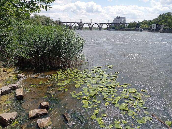 Painted Resilience: My Plein Air Landscapes From Dnipro Painted Resilience: My Plein Air Landscapes From Dnipro