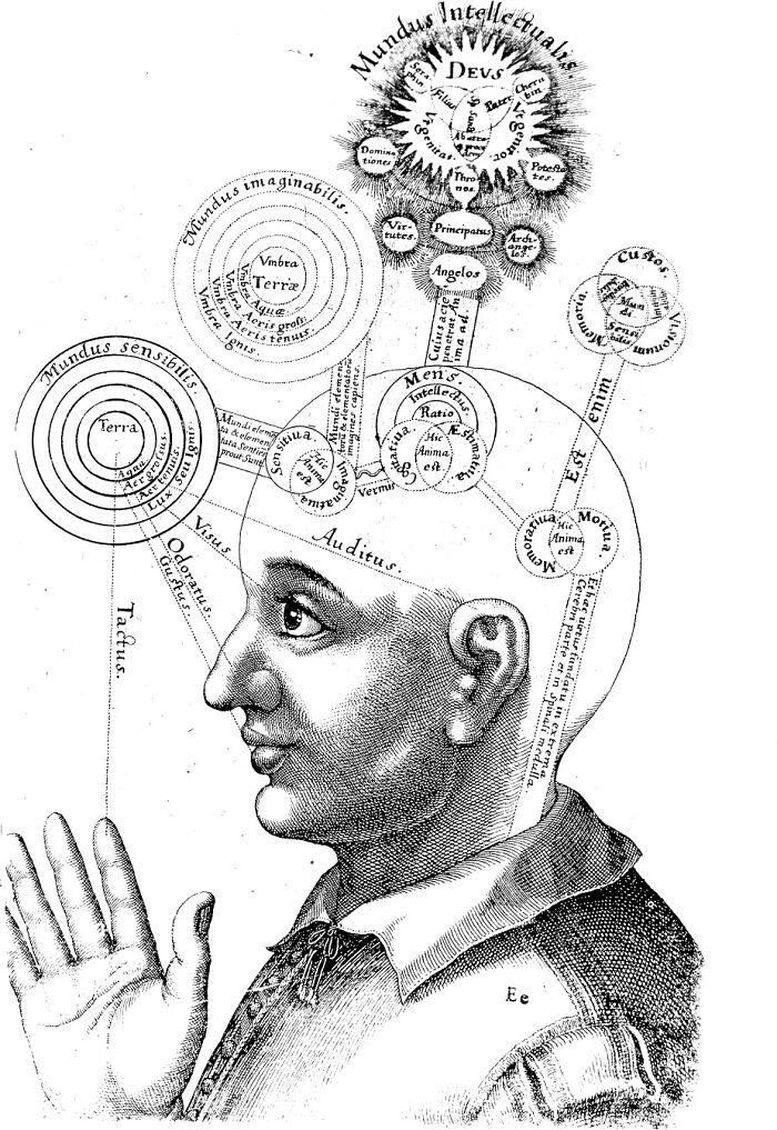 Illustration of a human head with mind and sensory theories related to fascinating theories about the afterlife.