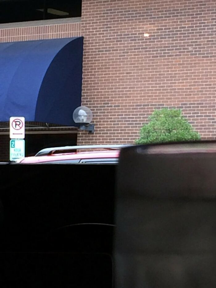 This Street Light Bulb Looks Like Adolf Hitler