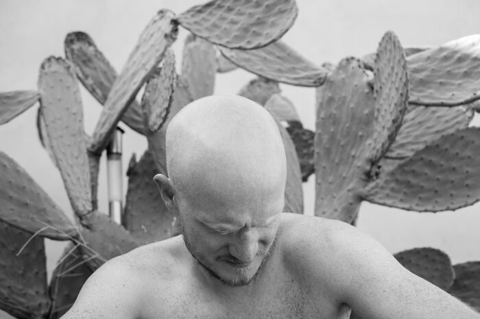 Black and white cinematic photo of a bald man in front of large cactus plants capturing everyday life moments.