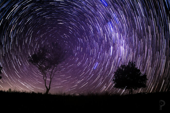 Star trails forming circular patterns above silhouetted trees at night, evoking theories about the afterlife and cosmic mysteries.
