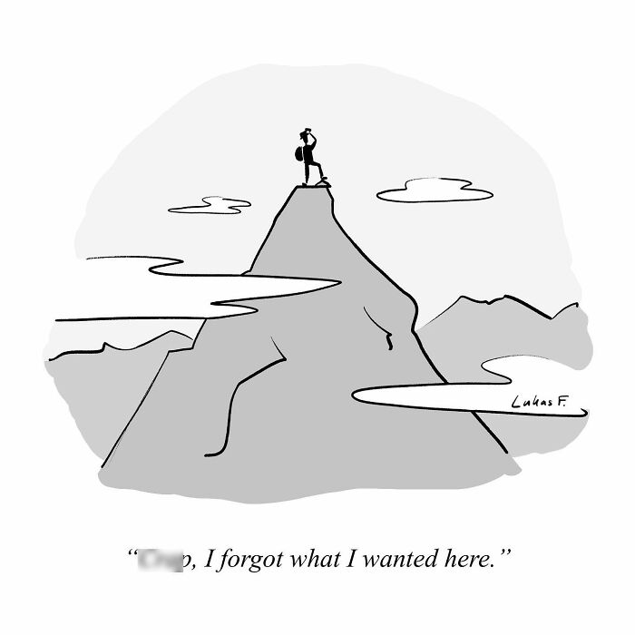 Single-panel cartoon by Lukas F. showing a person standing atop a mountain, illustrating minimalism and simplicity.