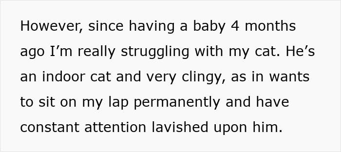 Struggling with an indoor cat that is clingy and demanding attention after having a baby four months ago. Struggling with an indoor cat that is clingy and demanding attention after having a baby four months ago.