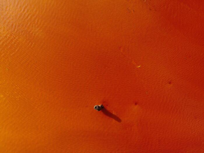 The Romanian Village Drowned By Toxic Waste, Still Breathing Through My Lens