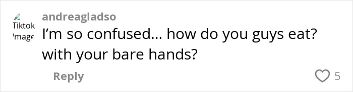 Comment on social media questioning how Americans eat with cutlery, highlighting Europeans roasting them for primitive eating habits. Comment on social media questioning how Americans eat with cutlery, highlighting Europeans roasting them for primitive eating habits.