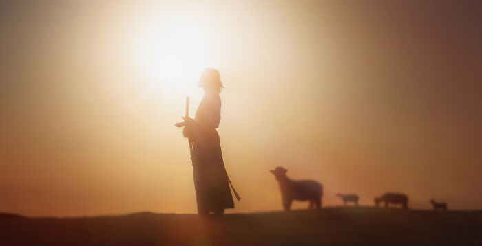 Silhouetted person standing with staff at sunset, surrounded by sheep, illustrating themes related to baby names that weird them out.