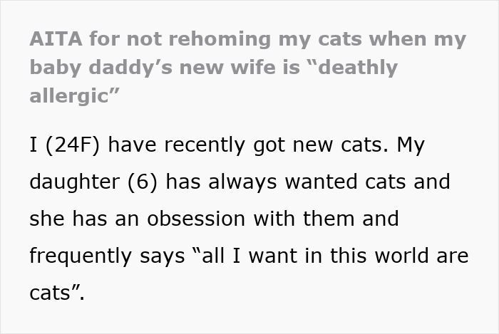 &ldquo;Cats Are Staying&rdquo;: Woman Refuses To Rehome Cats Because Of Ex&rsquo;s New Wife&rsquo;s Allergies
