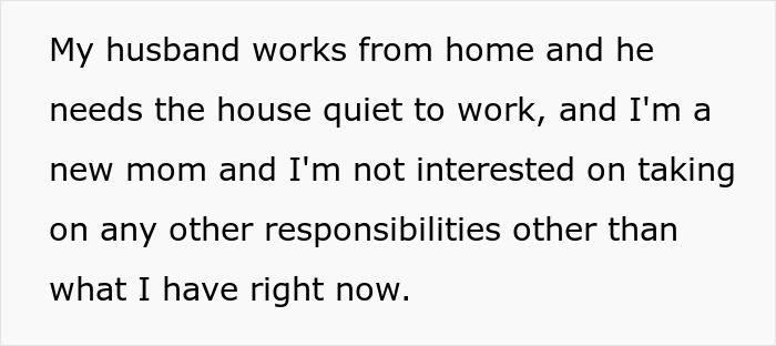 Text from a mom explaining her husband works from home and she, as a SAHM, is not interested in extra responsibilities. Text from a mom explaining her husband works from home and she, as a SAHM, is not interested in extra responsibilities.