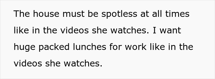 Text excerpt discussing expectations of a tradwife lifestyle including spotless house and packed lunches. Text excerpt discussing expectations of a tradwife lifestyle including spotless house and packed lunches.