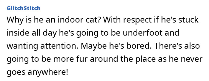 Comment discussing an indoor cat’s behavior, boredom, and fur concerns related to refusing to let rehome cat. Comment discussing an indoor cat’s behavior, boredom, and fur concerns related to refusing to let rehome cat.