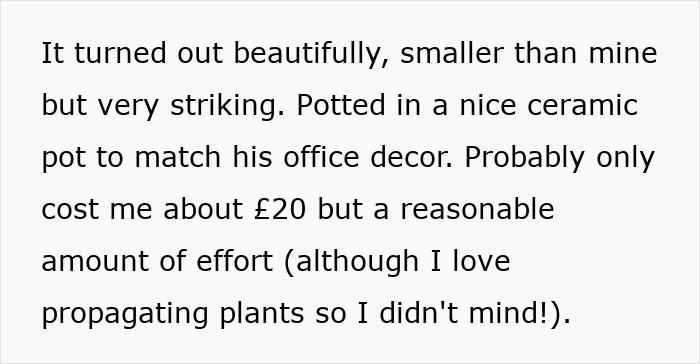 Small striking plant in ceramic pot, ideal for gifting to a male colleague to match office decor. Small striking plant in ceramic pot, ideal for gifting to a male colleague to match office decor.